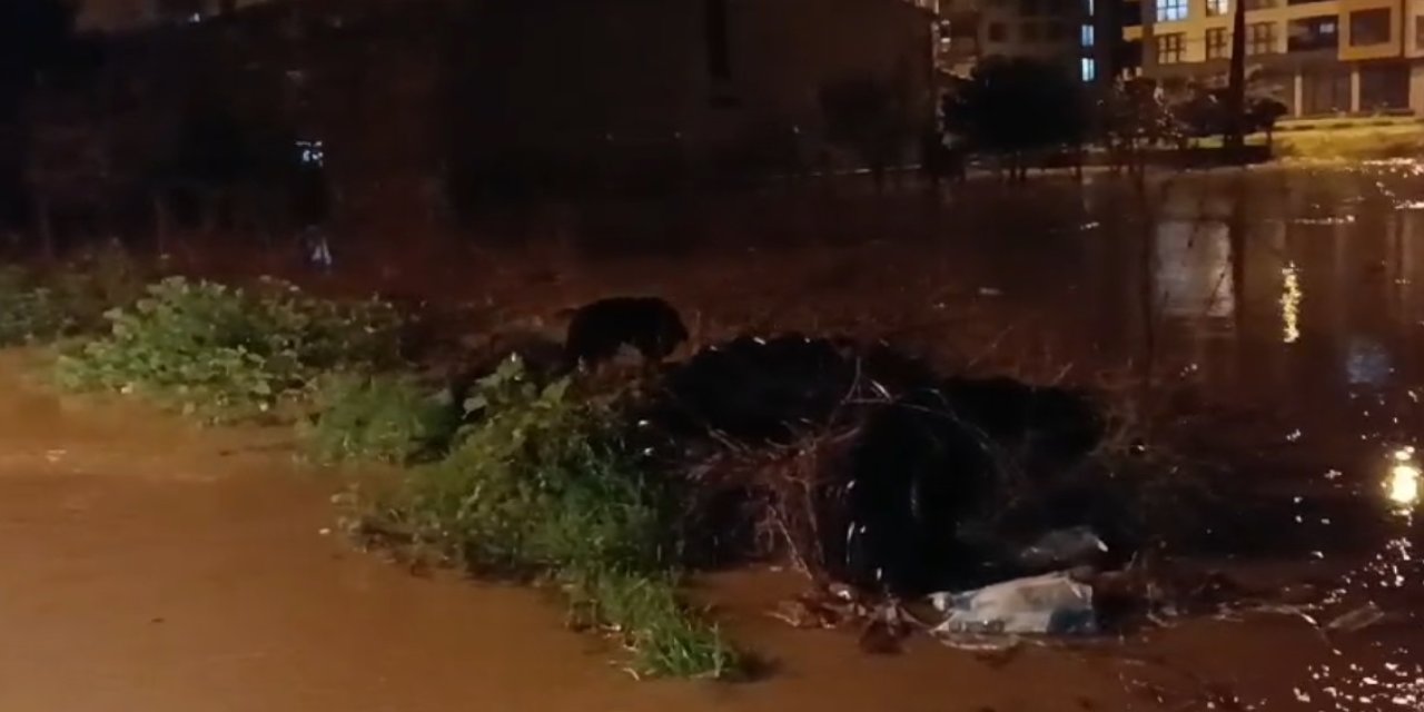 Çanakkale'de Sağanak Nedeniyle Dere Taştı (5)