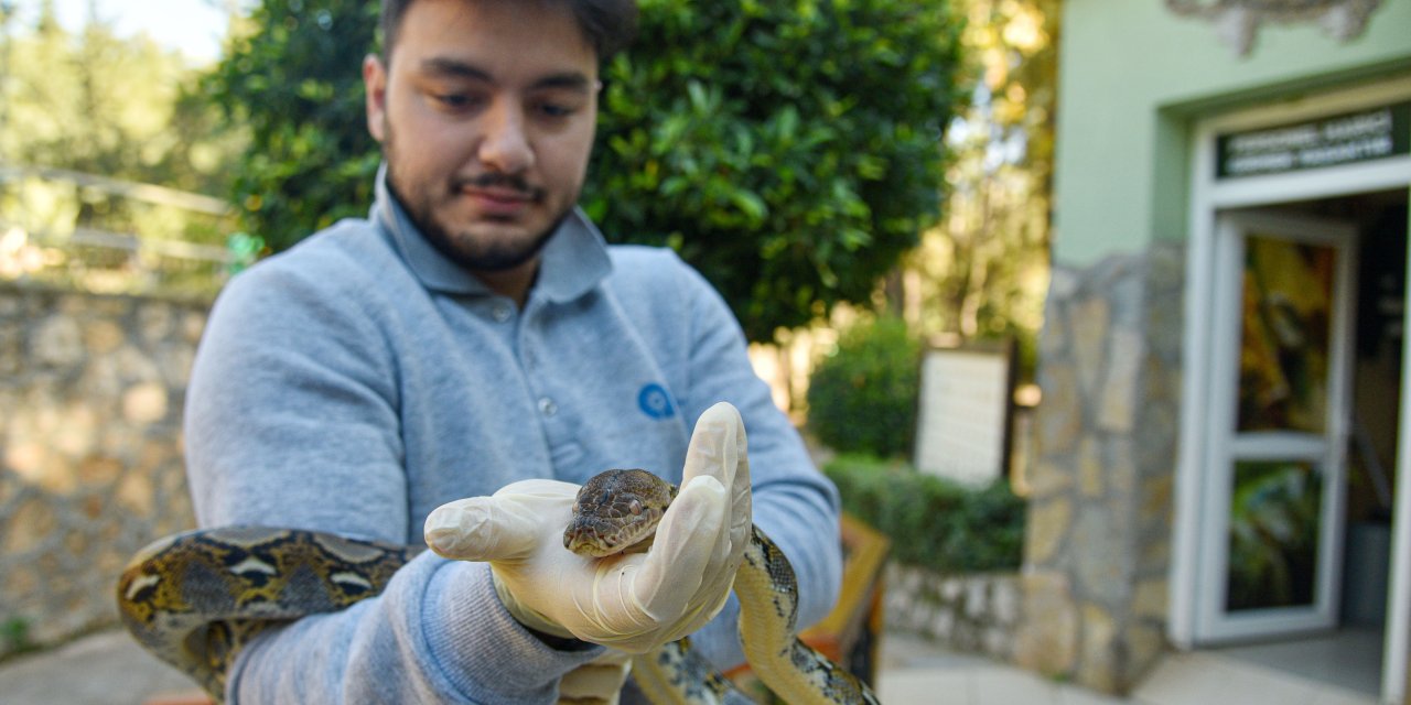 Koruma Altındaki 'Egzotik' Hayvanlara Ziyaretçi Yoğunluğu