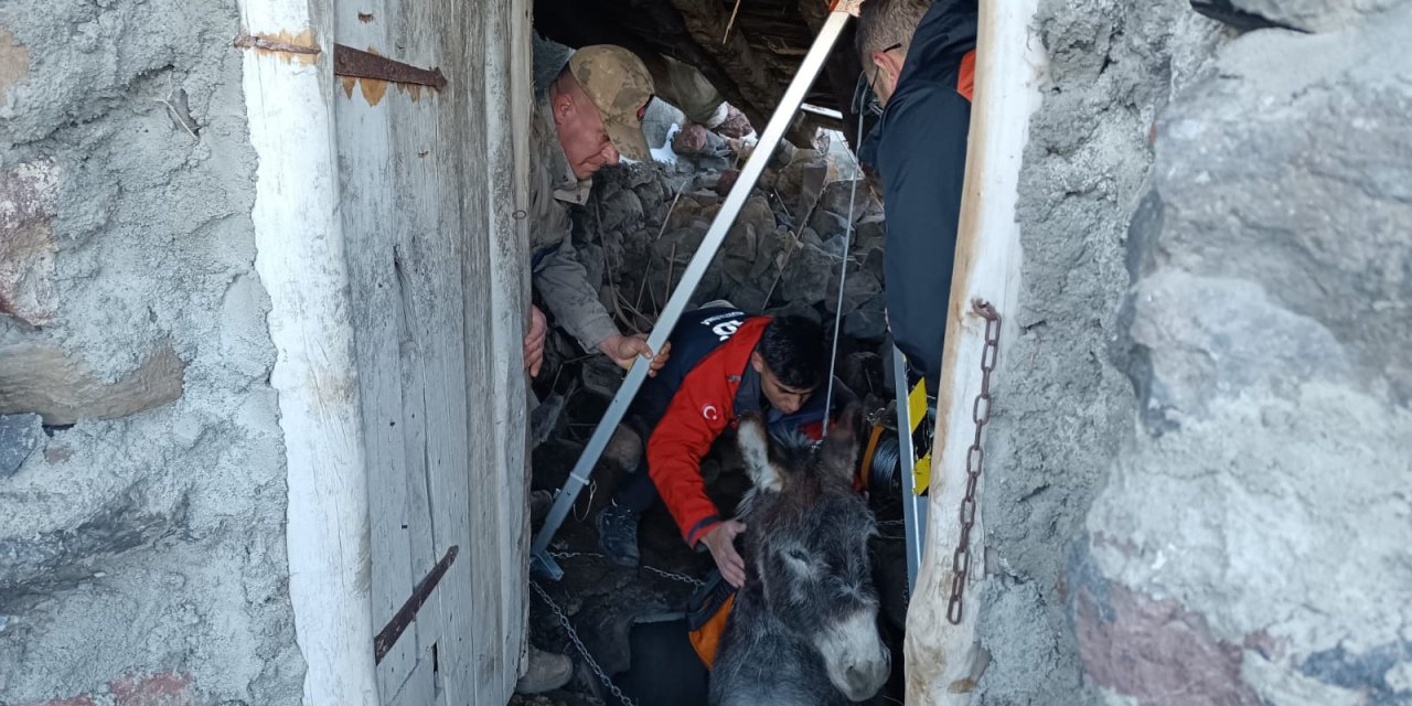 Samanlıktaki Çukura Düşen Eşek, Kurtarıldı