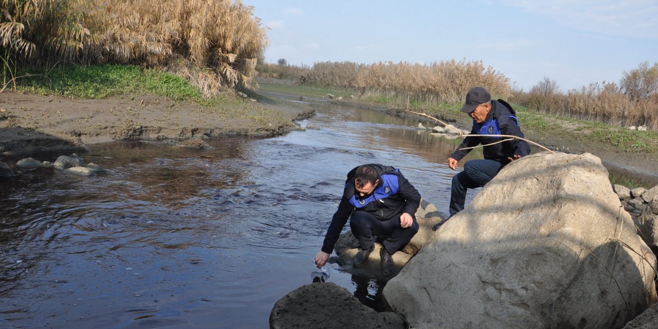 Rengi Siyaha Dönen Ve Balık Ölümleri Yaşanan Karasu Çayı'nde İnceleme