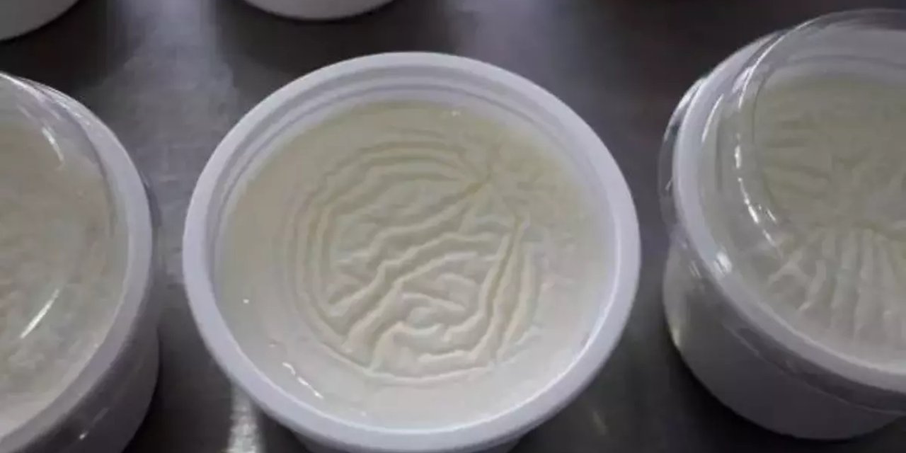 “Fermente Besinler, Geçirgen Bağırsak Sendromuna Karşı Koruyucu Özellik Gösteriyor”