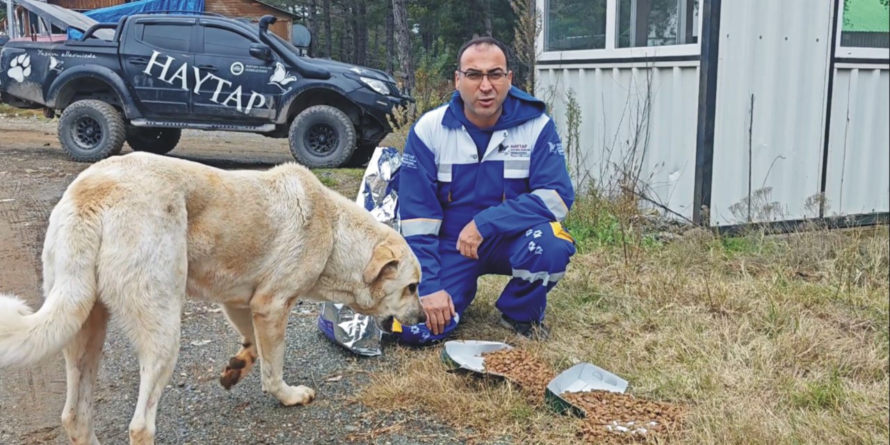 Yaz Bitince Terk Edilen, Yaylalardaki Hayvanlara Yiyecek Bırakıldı