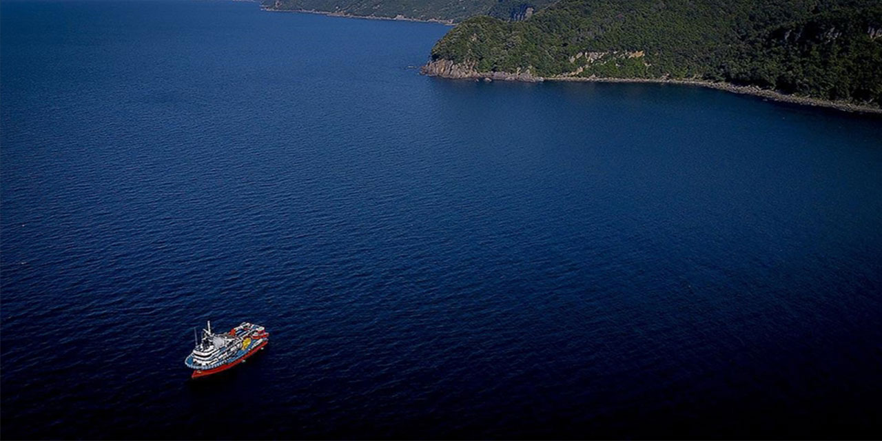 Karadeniz'de deniz suyu sıcaklığı düştü avcılık arttı
