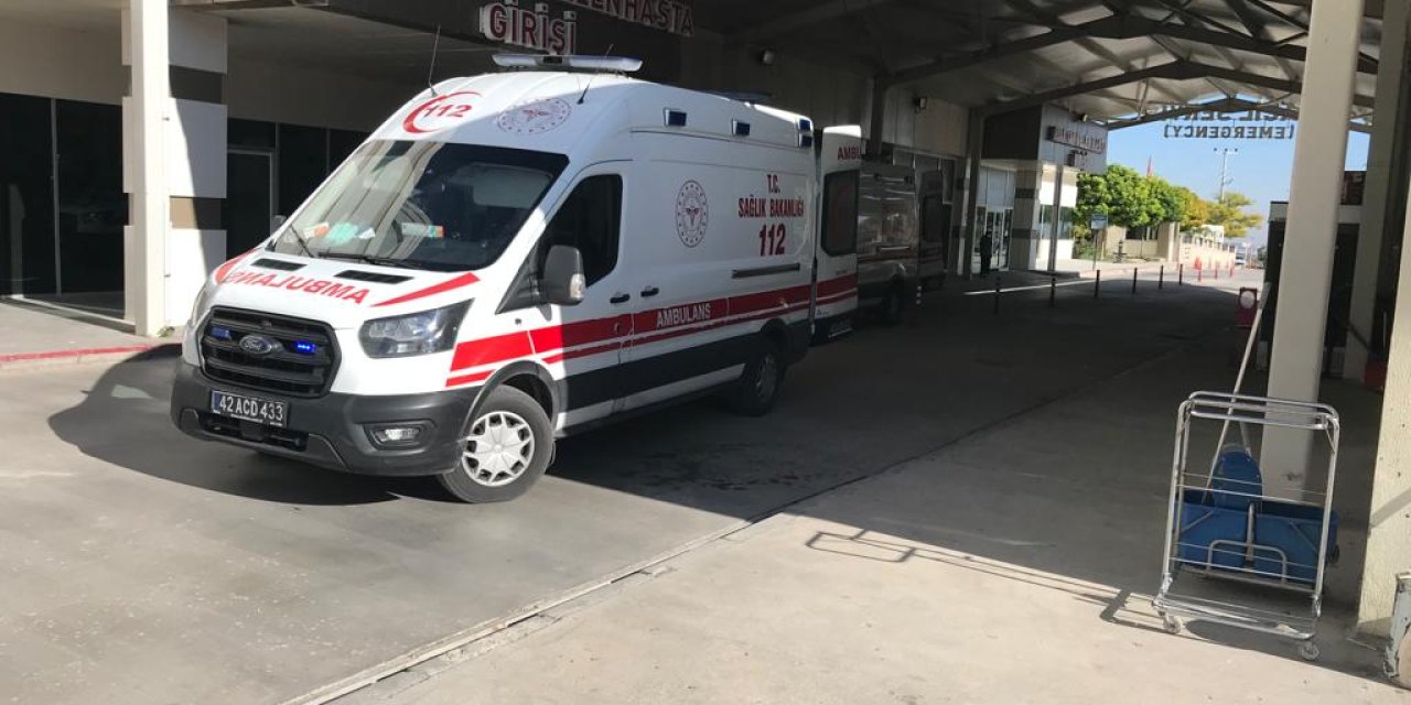 Anne Ve 10 Yaşındaki Kızı, Yedikleri Mantardan Zehirlendi