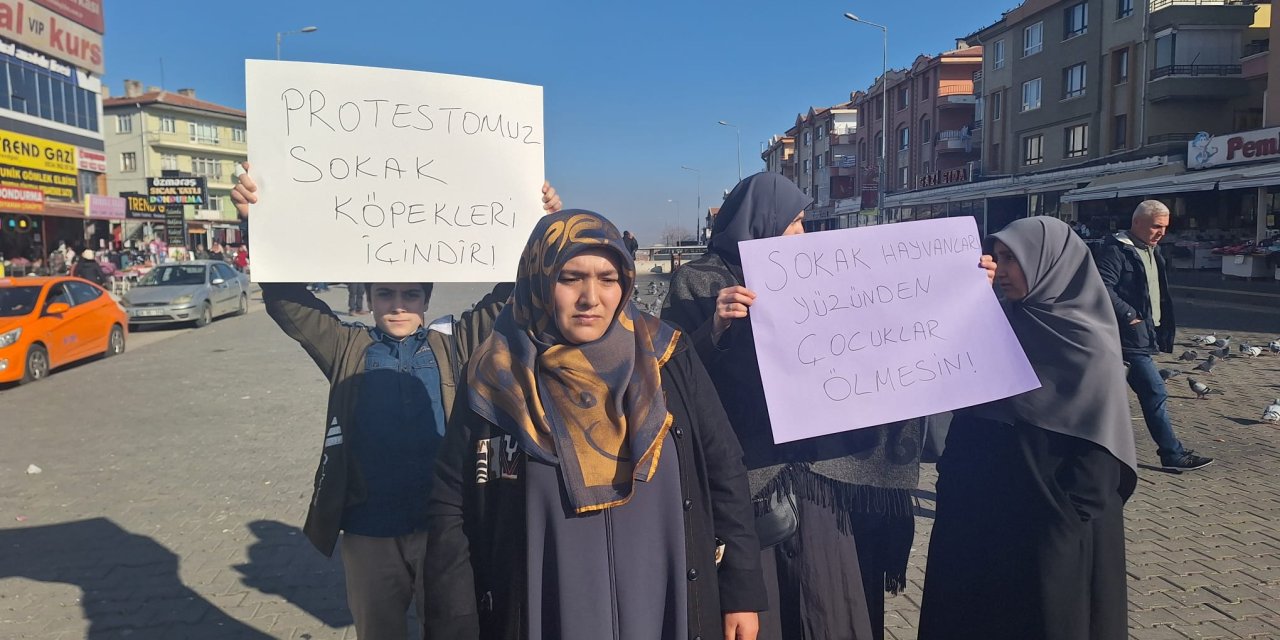 Ankara'da 5 Kişilik 'Sokak Köpekleri Toplansın' Eylemi