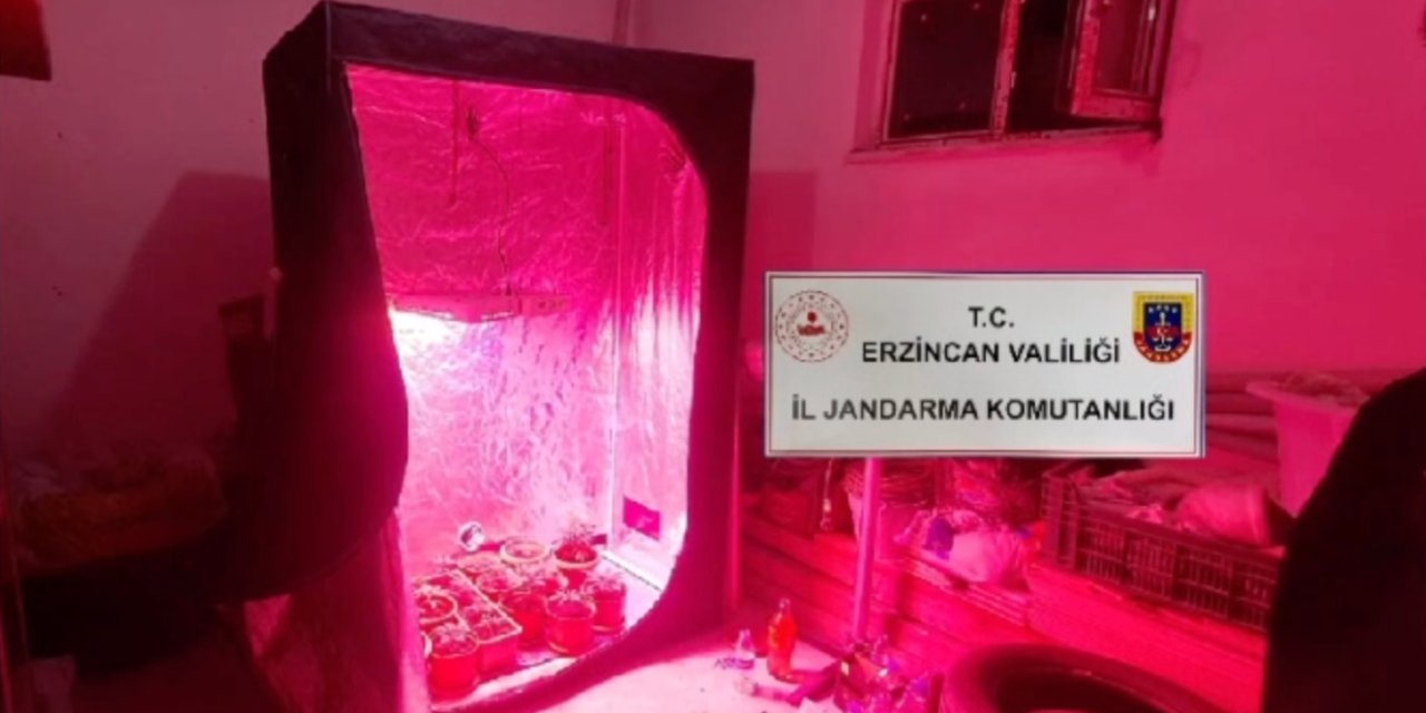 Evde Kenevir Yetiştirmek İçin İklimlendirme Sistemi Kurmuş