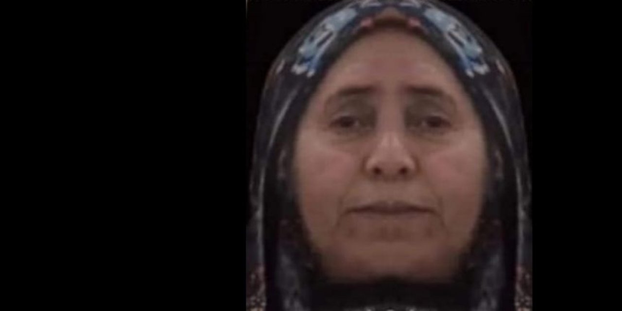 Mardin'de Yolun Karşısına Geçerken Otomobilin Çarptığı Kadın Öldü