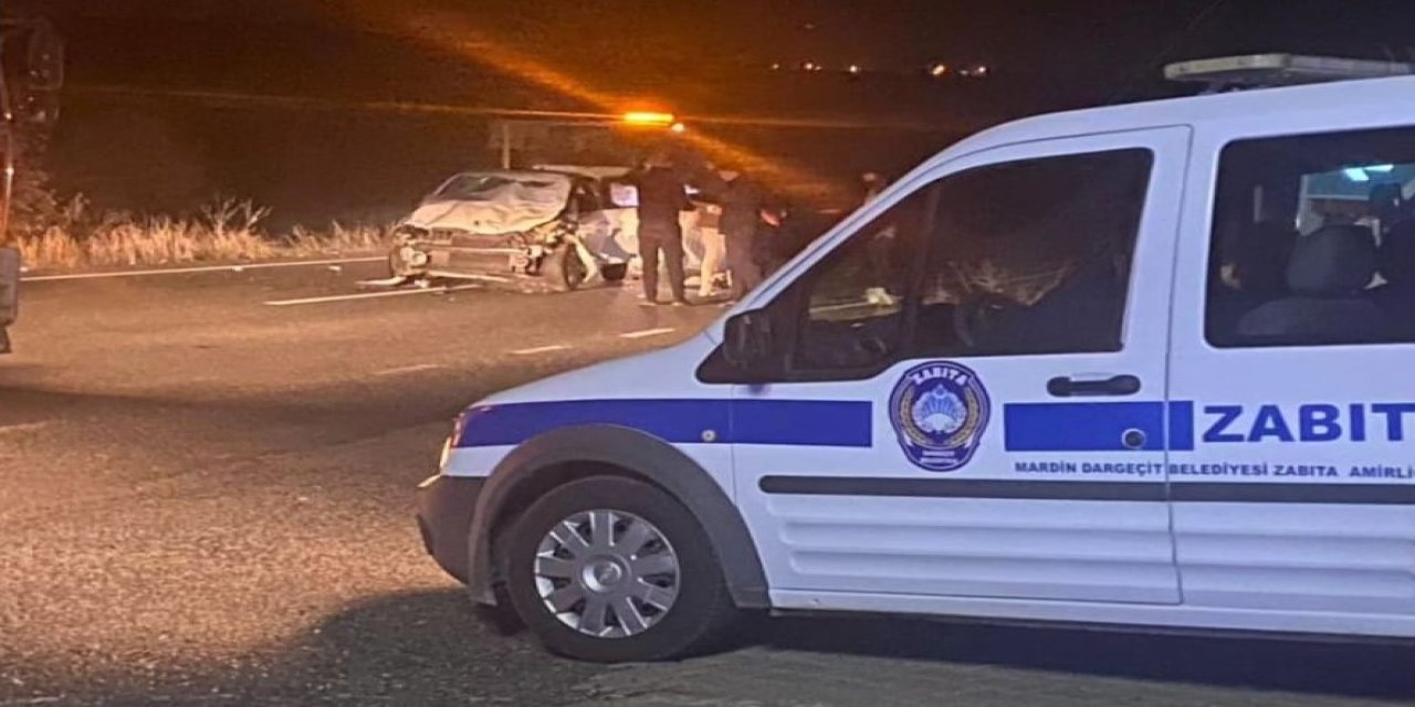 Otomobilin Yolda Çarptığı 4 At Öldü, Araçtaki 5 Kişi Yaralandı