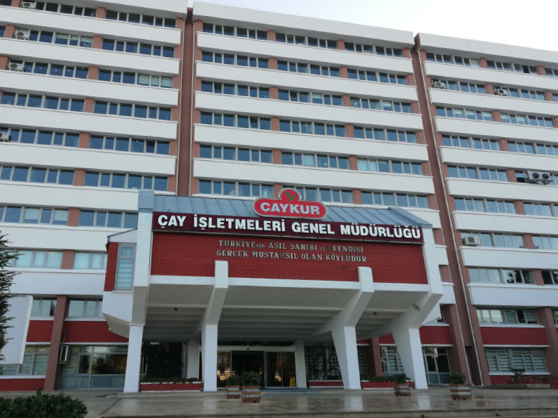 ÇAYKUR mevsimlik işçi alımına 38 bin 763 kişi başvurdu