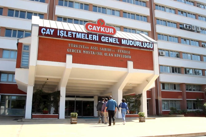 ÇAYKUR Destekleme Paraları Ödeniyor