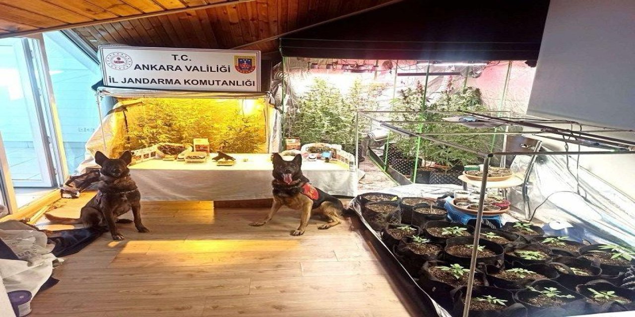 Ankara'da Narkotik Operasyonu: 5 Gözaltı