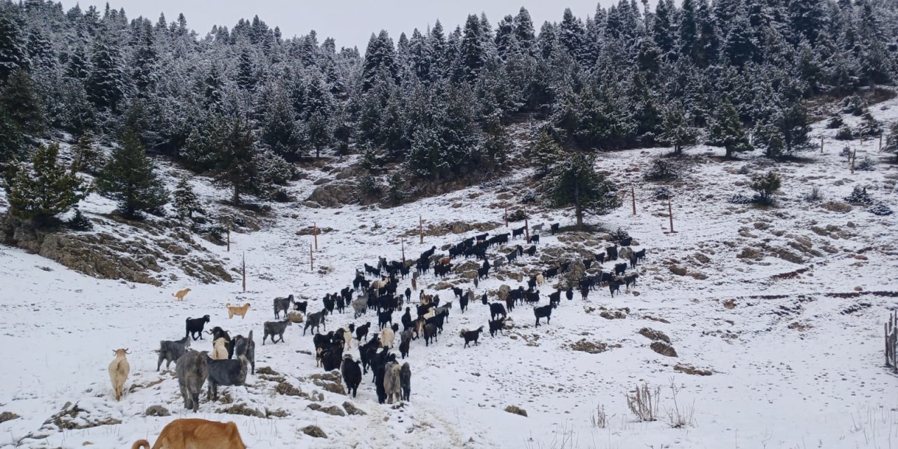 Doğu Akdeniz'de Kar; Yüksek Kesimler Beyaza Büründü