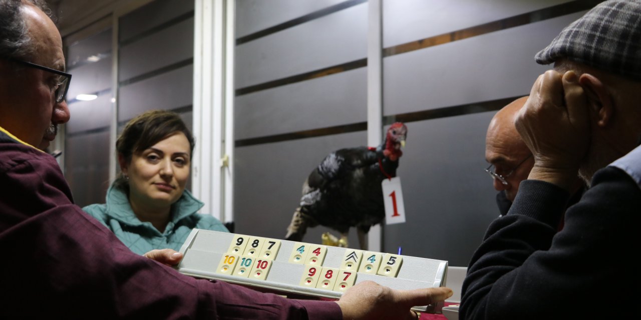 Hindi Ödüllü Turnuvada 35 Yıl Sonra İlk Kez Şampiyon Oldu