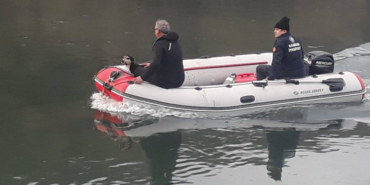 Kızılırmak'ta Mahsur Kalan Köpek Kurtarıldı