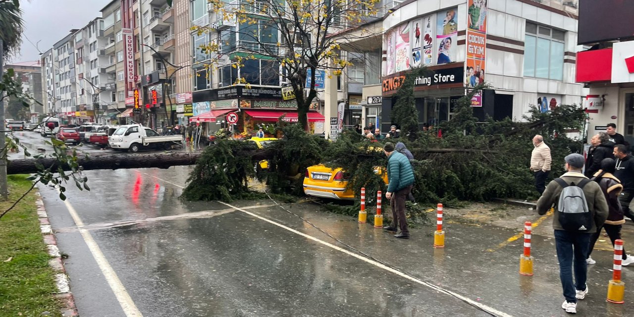 Rize'de Fırtına; Sac Uçtu, Ağaç Taksinin Üzerine Devrildi