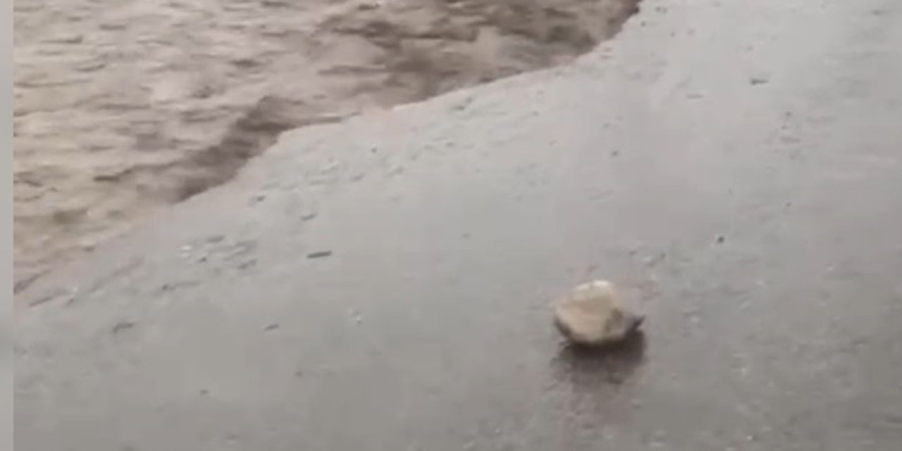 Şırnak'ta Yağış Nedeniyle Yol Çöktü