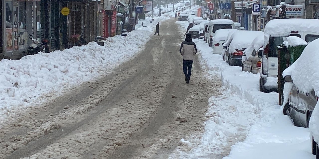 Bolu Dağı'nda Kar Yağışı (2)