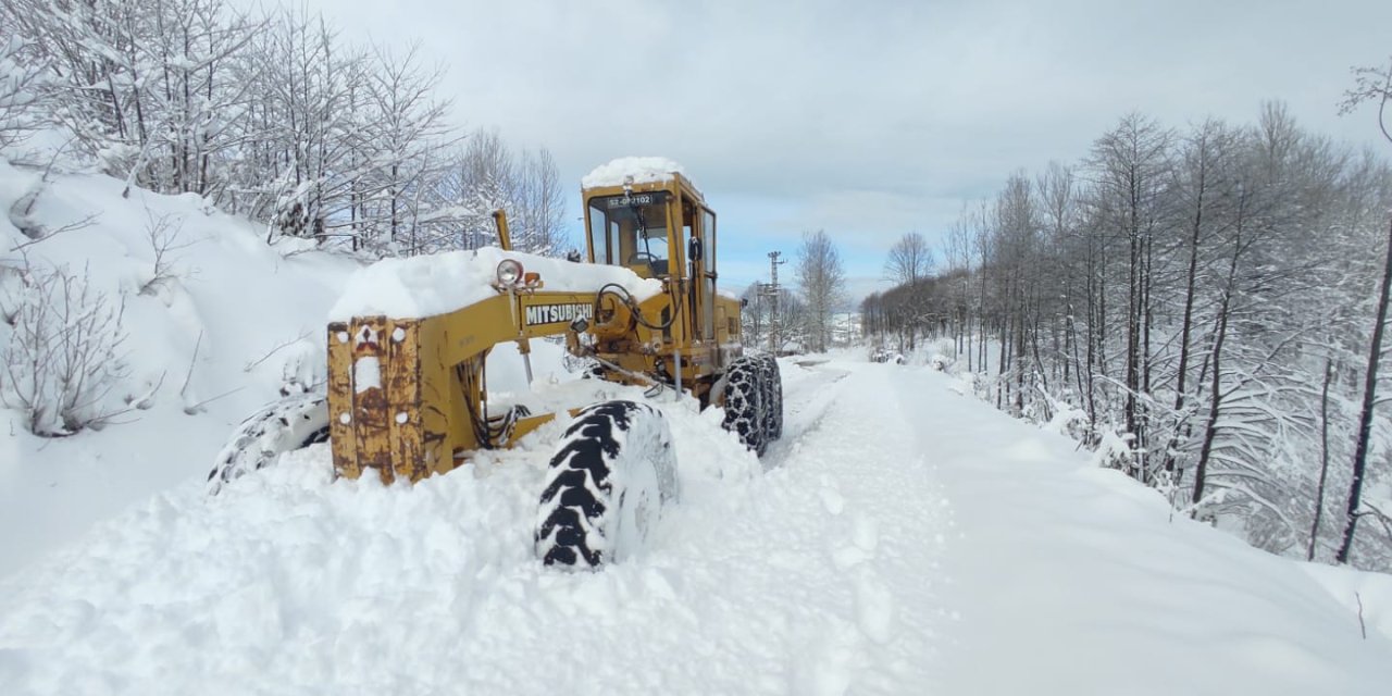 Doğu Karadeniz'de Kar; 367 Köy Yolu Kapandı