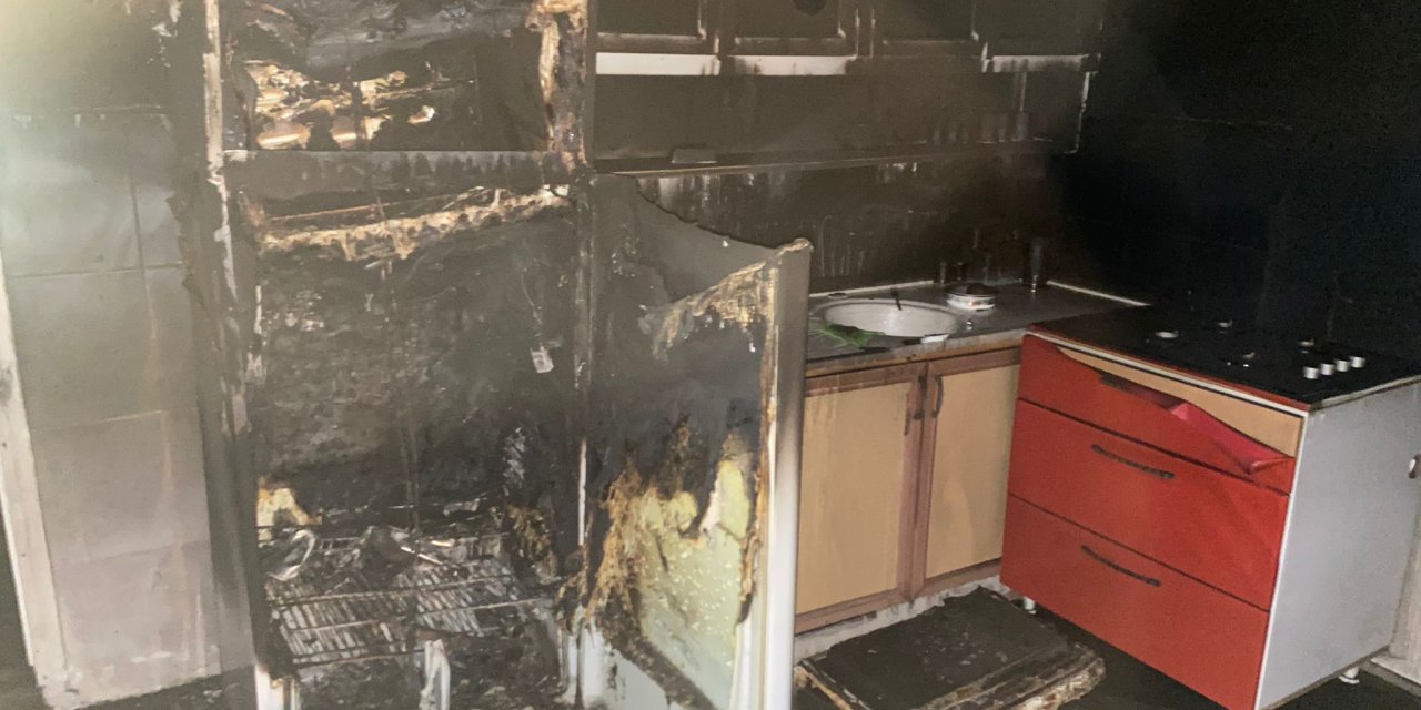 Buzdolabında Odun Yakan Alzheimer Hastası Yaşlı Kadın, Zehirlenip Öldü