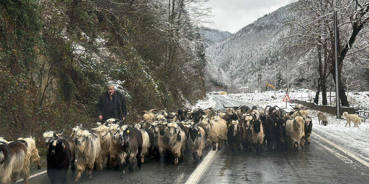 Doğu Karadeniz'de ulaşım sağlanamayan 395 köy yolundan 287'si açıldı