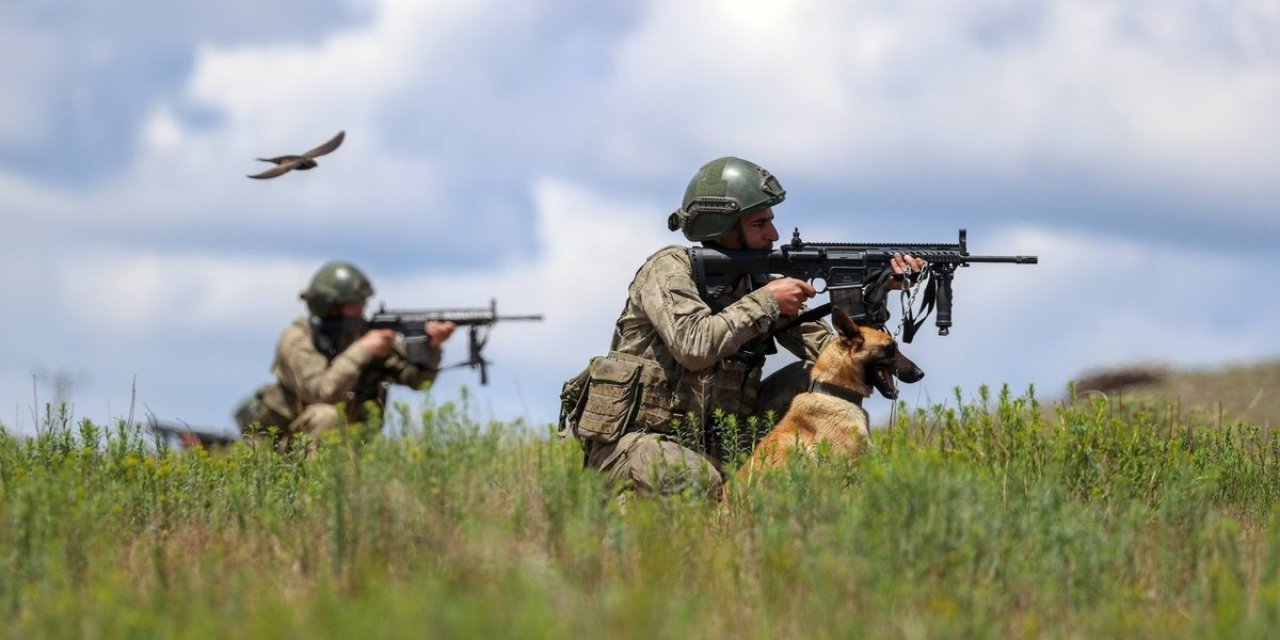 Msb: Suriye Sınırında 2'si Terör Örgütleri Mensubu 18 Kişi Yakalandı