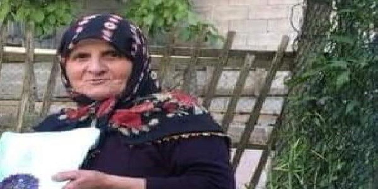 Ambulansın Dönüş Yaptığı Esnada Çarptığı Kadın Hayatını Kaybetti; Kaza Anı Kamerada