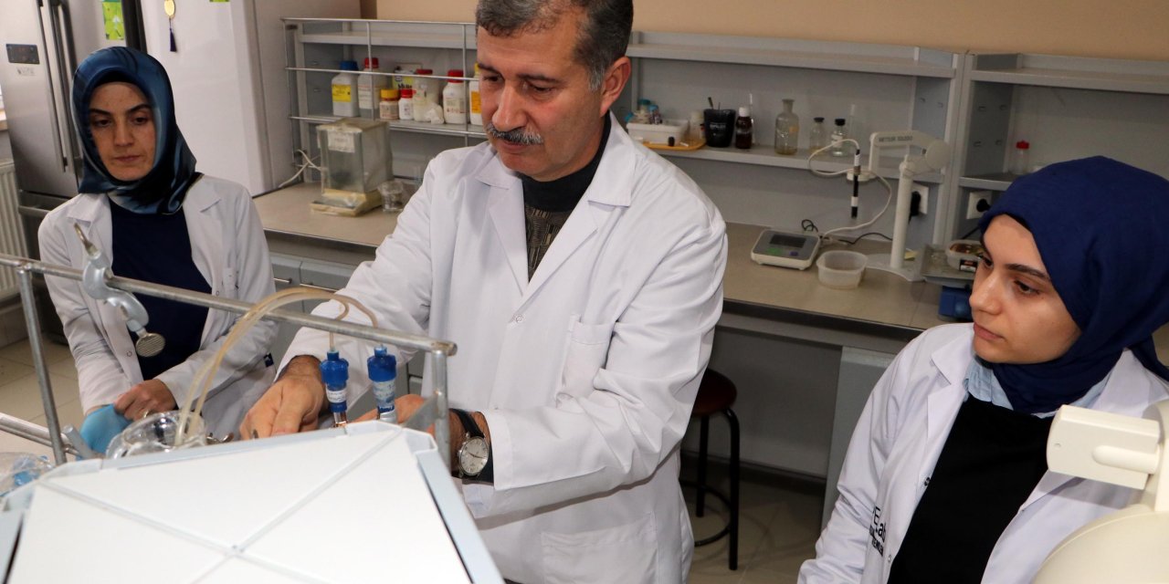 Prof. Dr. Gülçin: Zencefilde Bulunan 'Kurkumin' Çok Güçlü Bir Doğal Antioksidan