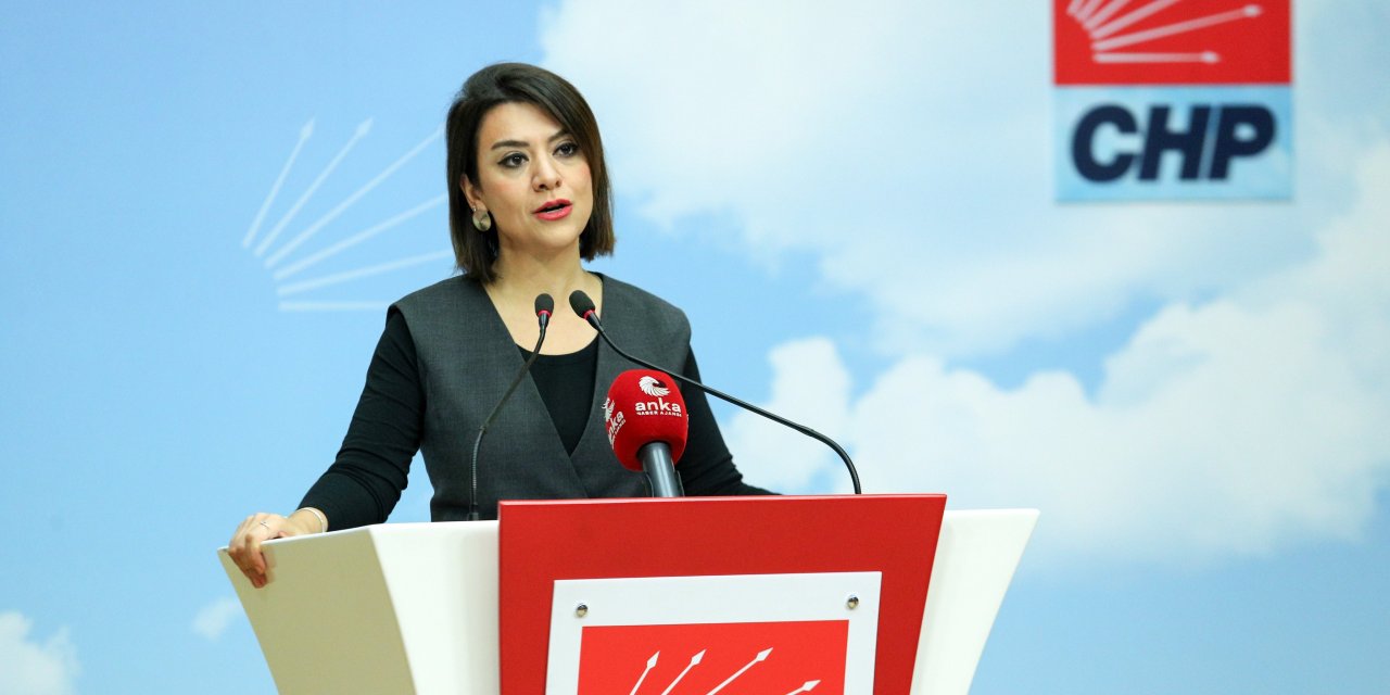 Chp'li Taşcıer: Erdoğan'ın Ücret Açıklaması, Komisyon'un Lağvedilmesi Olacak