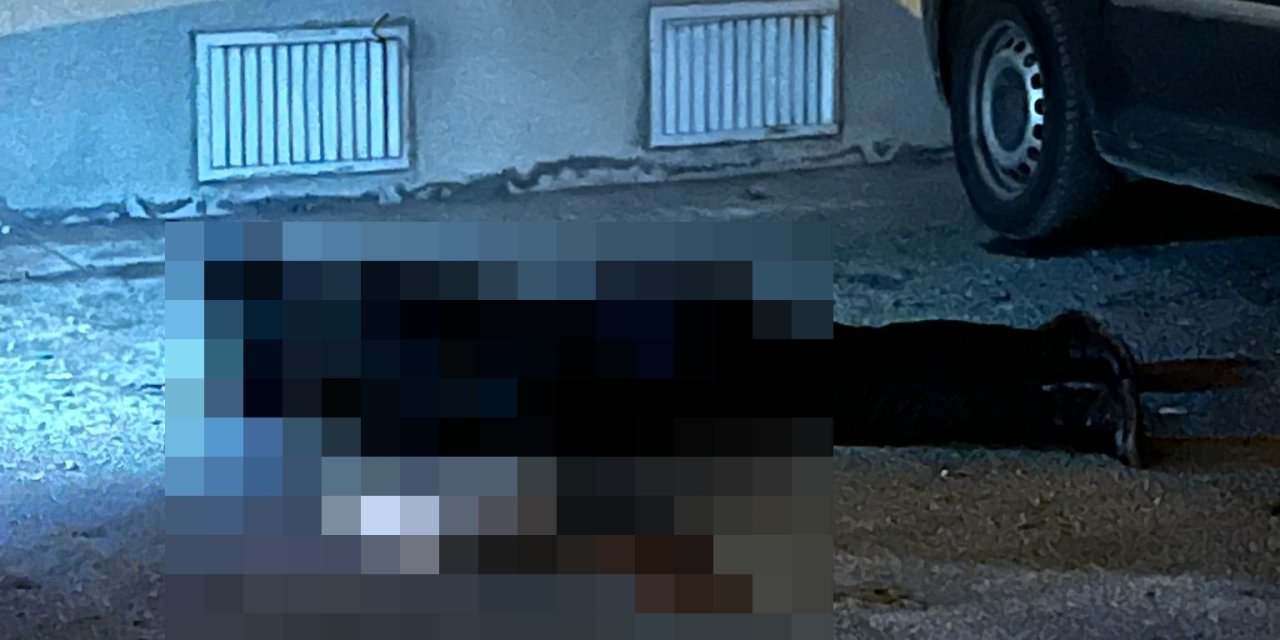 Sokakta Yürürken Silahlı Saldırıya Uğrayan Zeynep, Öldü