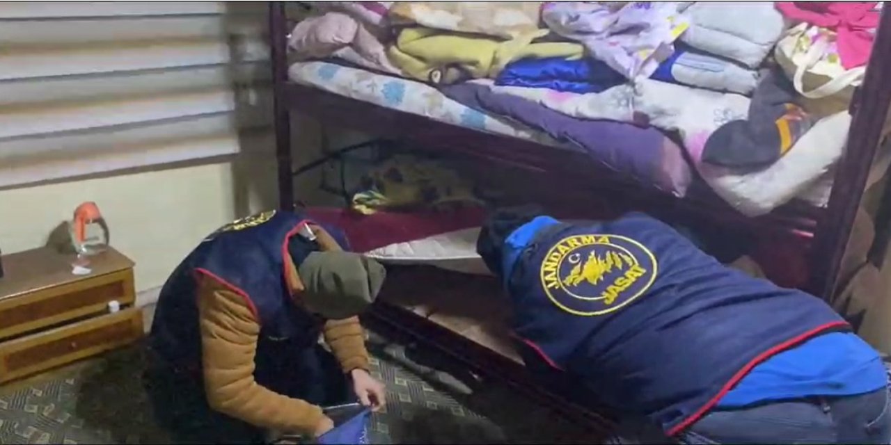 Jasat'tan Hayvan Hırsızlığı Operasyonu; 4 Tutuklama