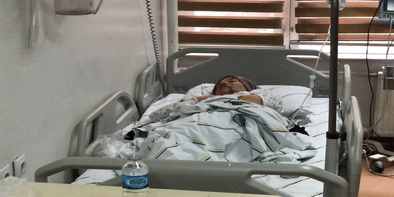 Erzurum'da kurt dehşeti: 5 yaralı