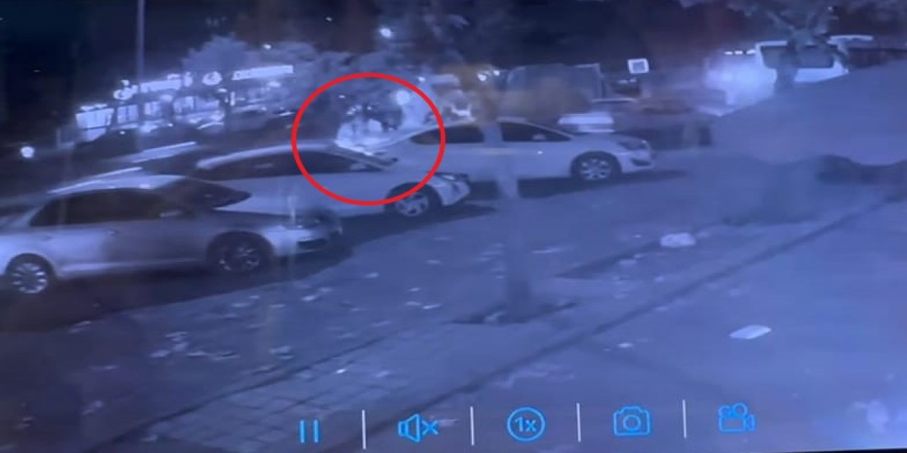 Çöp Konteynerini Boşaltırken Taksinin Çarptığı Temizlik İşçisi Öldü