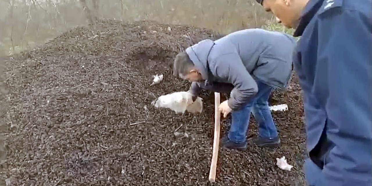 Fındık Kabuklarının Altından Kaçak Ve Sahte İçki Çıktı