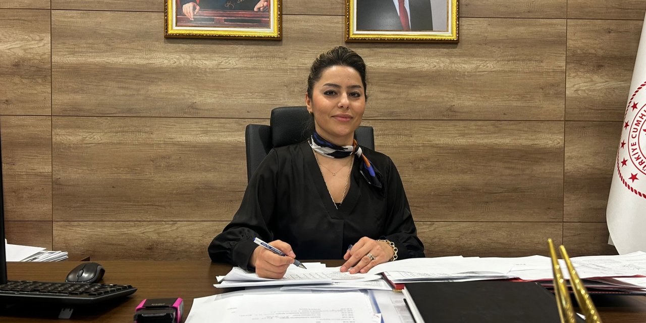 2023'te Kamu Hastanelerinde 520 Bin 723 Bebek Doğdu