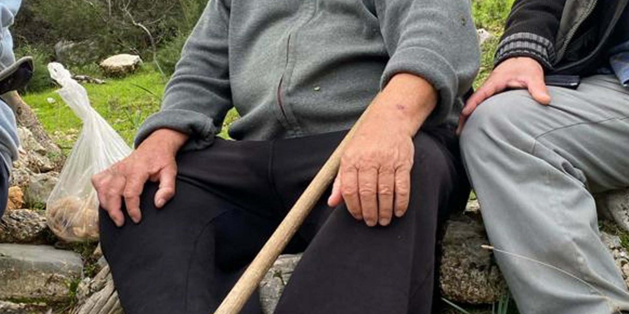 Mantar Toplamaya Çıktı, Ormanda Kayboldu (2)