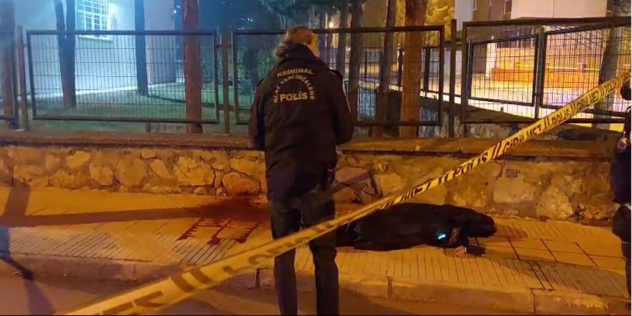 Iraklı Genç Kaldırımda Ölü Bulundu