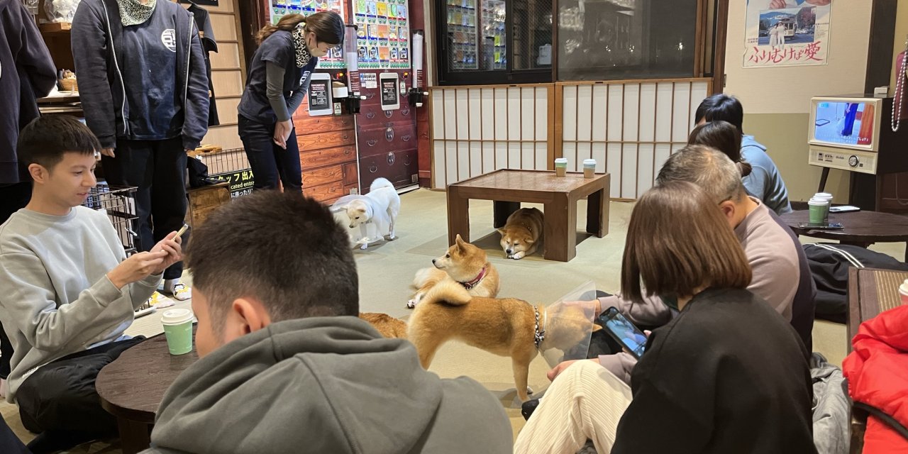 Tokyo’da Gençlerin Gözdesi Yavru Köpekli Kafeler