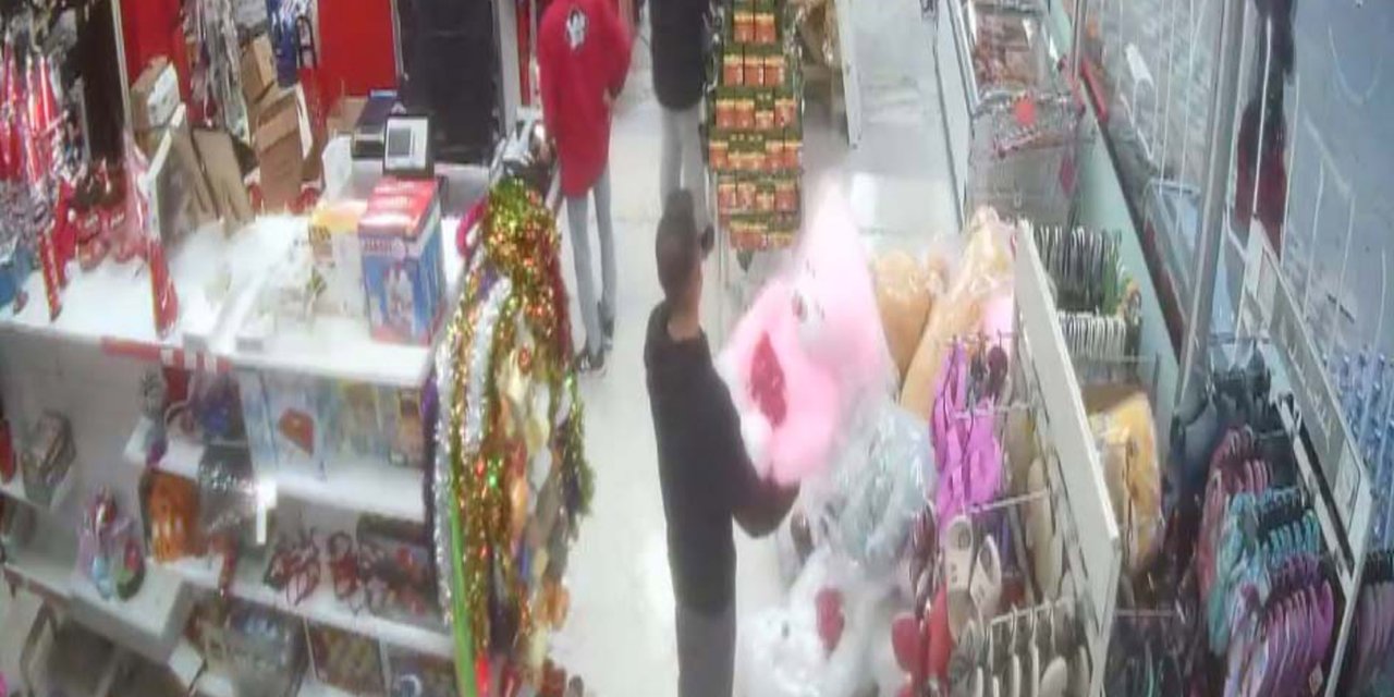 Pelüş Ayı Hırsızlığı Kamerada