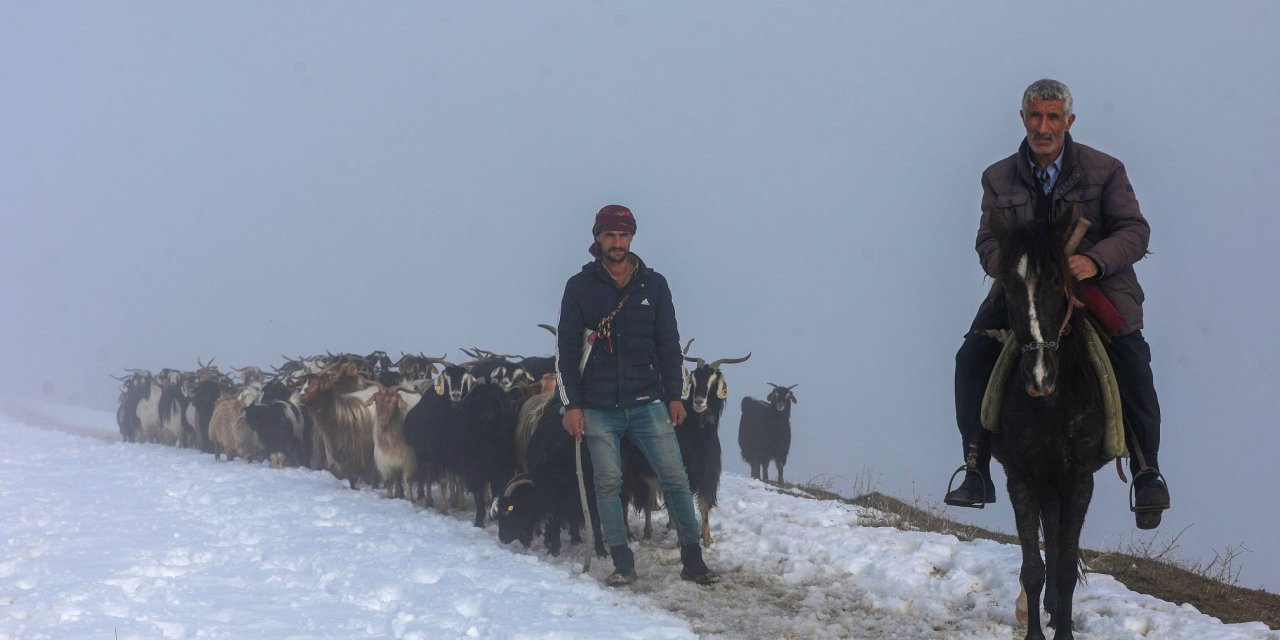 Muş'ta Keçi Sürüsünün Karda Zorlu Yolculuğu
