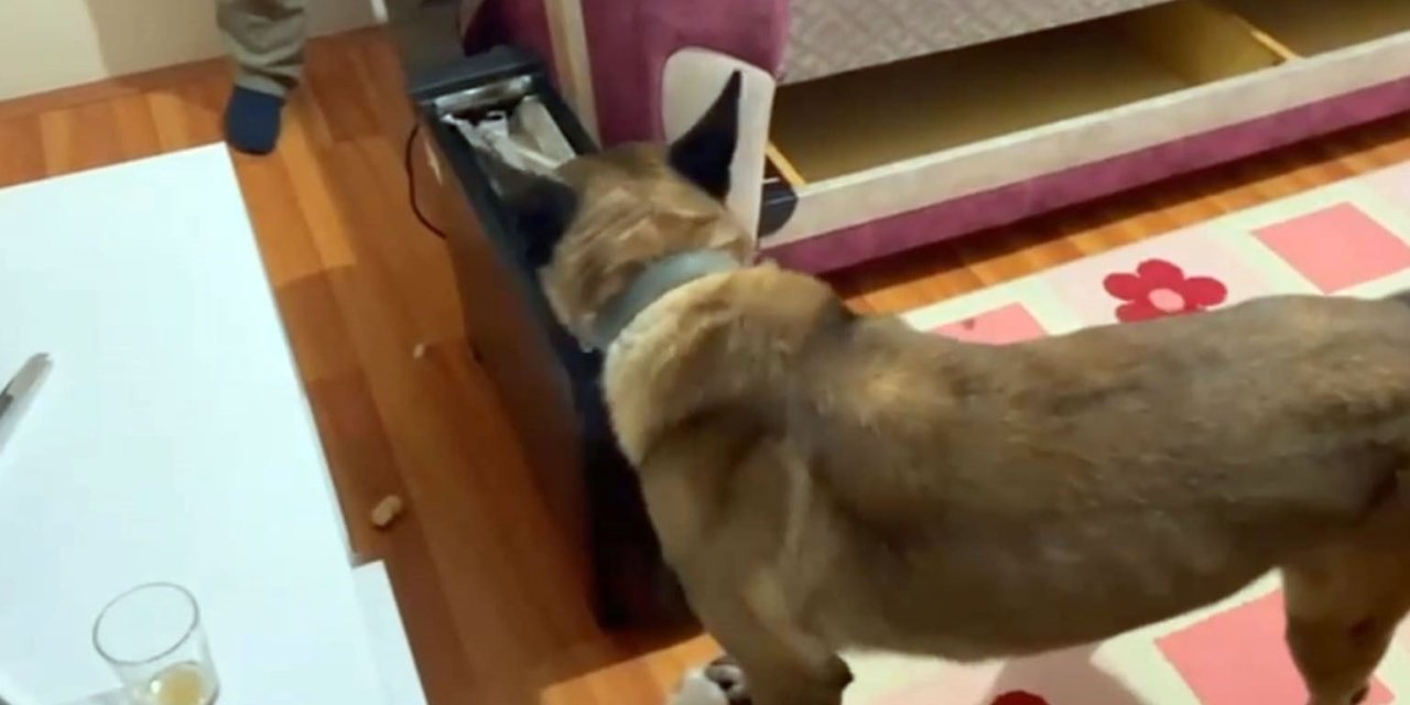 Isıtıcının İçinde Uyuşturucu Ele Geçirildi