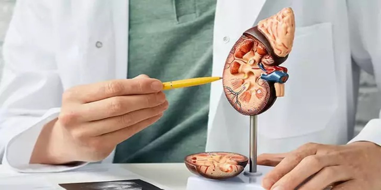 “Teknoloji Bağımlılarında Böbrek Taşı Riski Daha Yüksek”