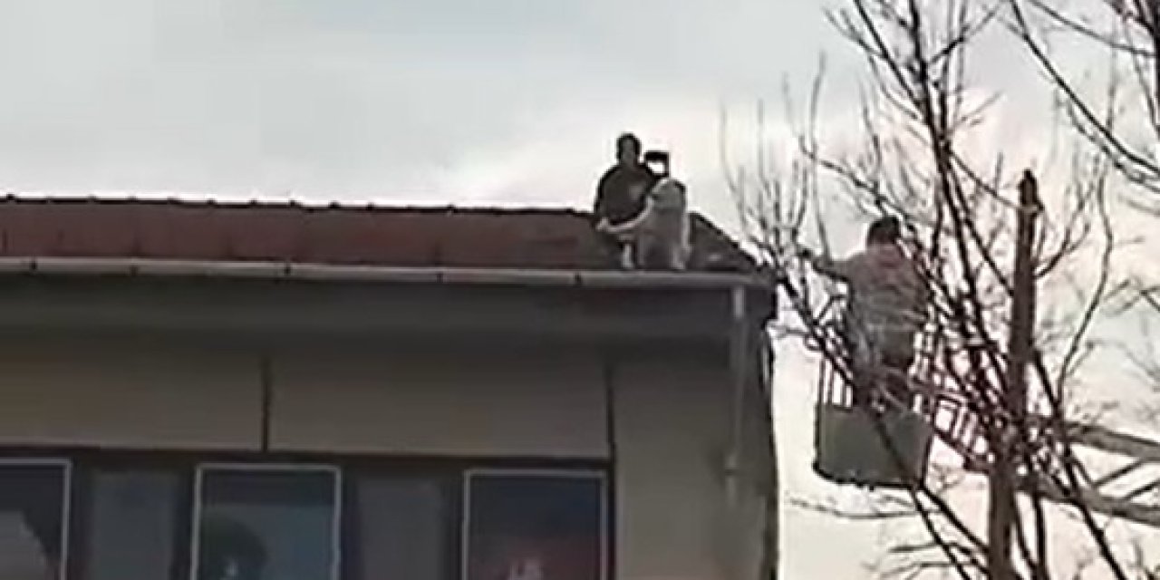 Ekipler Seferber Oldu; 4 Katlı Binanın Çatısına Çıkan Köpek, Sahibi Gelince İndi