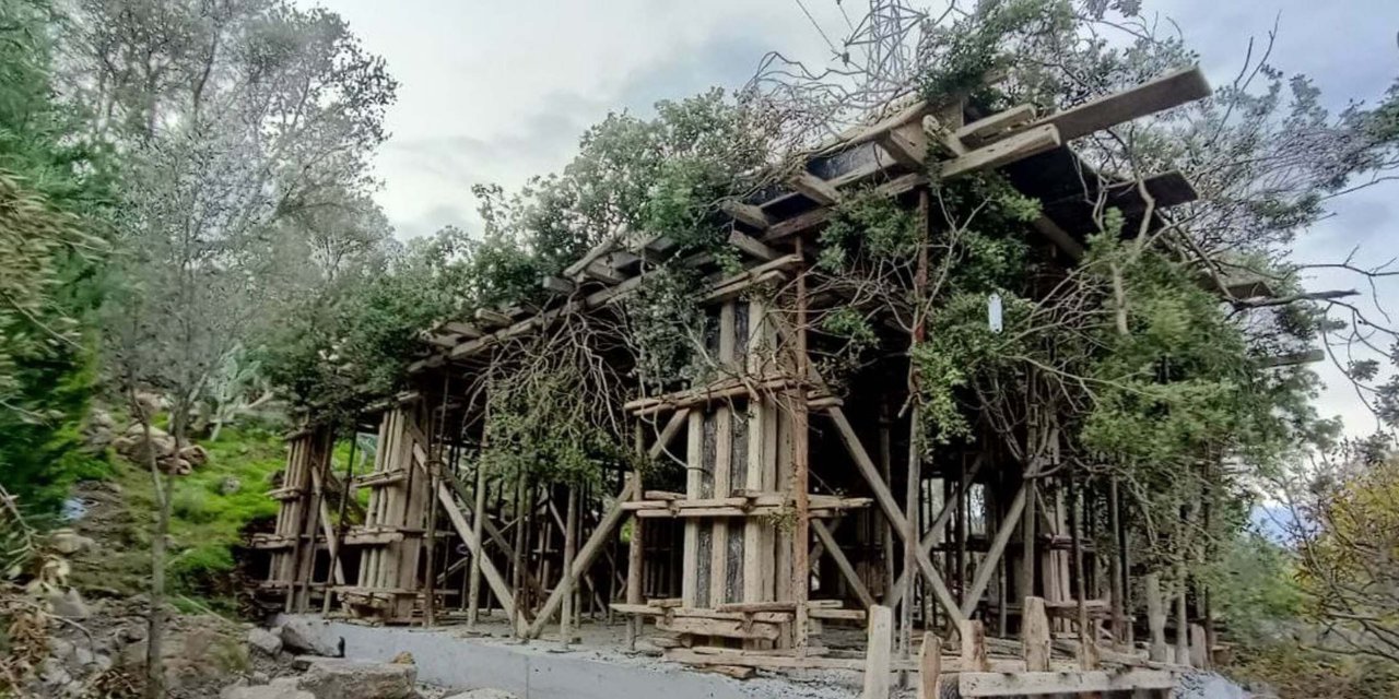 Bodrum'da Ağaç Dallarıyla Gizlenmiş Kaçak Yapıya Yasal İşlem