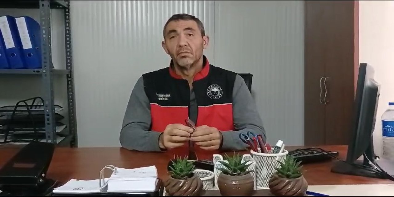 İskenderun'da Denizden 3 Yılda 50 Bin Balon Balığı Toplandı