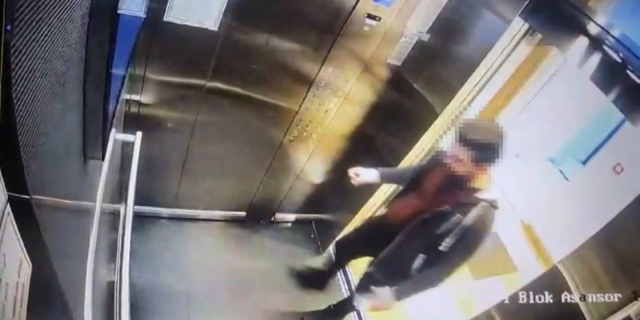 Başakşehir'de Kediyi Asansörde Sıkıştırıp Ezen Şüpheli Kamerada
