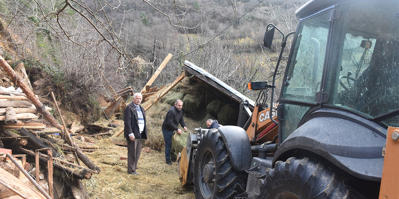 Artvin'de heyelanda çöken ahırda iki büyükbaş hayvan telef oldu