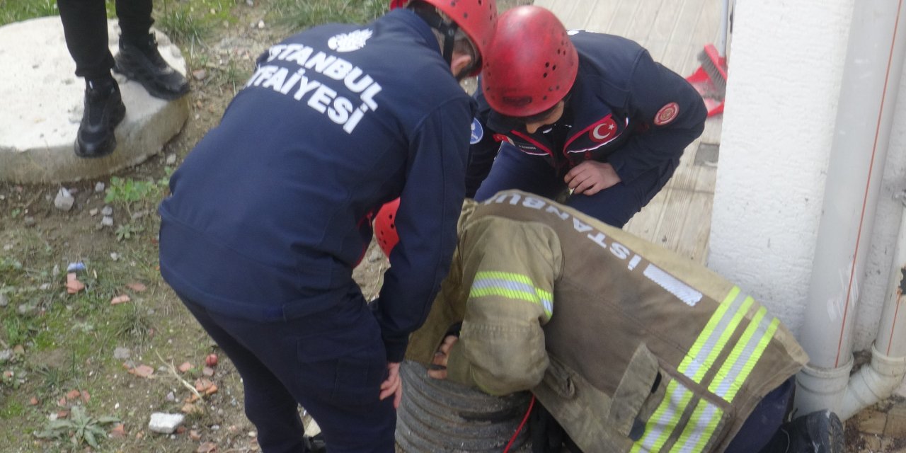 Avcılar'da Havalandırma Bacasına Düşen Kediyi İtfaiye Kurtardı