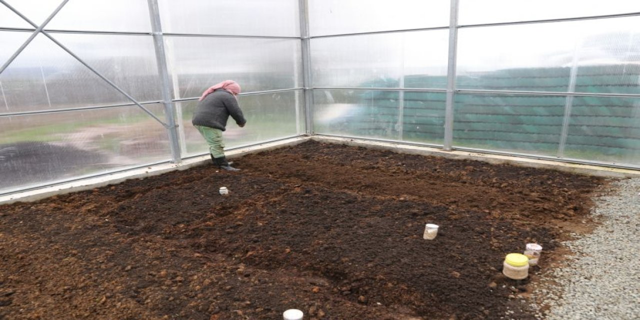Rize Belediyesi Sera Alanında Ata Tohumları Toprakla Buluşmaya Devam Ediyor