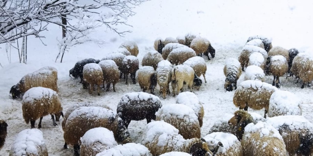 Yolu Kar Ve Çığdan Kapanan Mahalledeki Hasta Çocuk, Paletli Ambulansla Alındı
