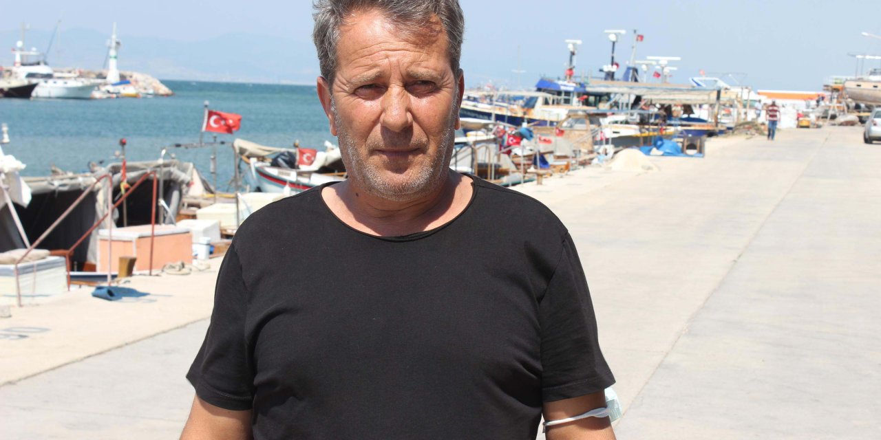 Sıcaklık Artınca Balon Balığı Da Rota Değiştirdi